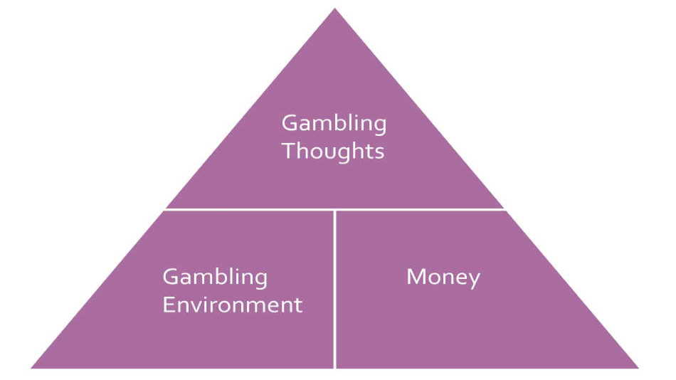 3 - What makes us gamble? Image